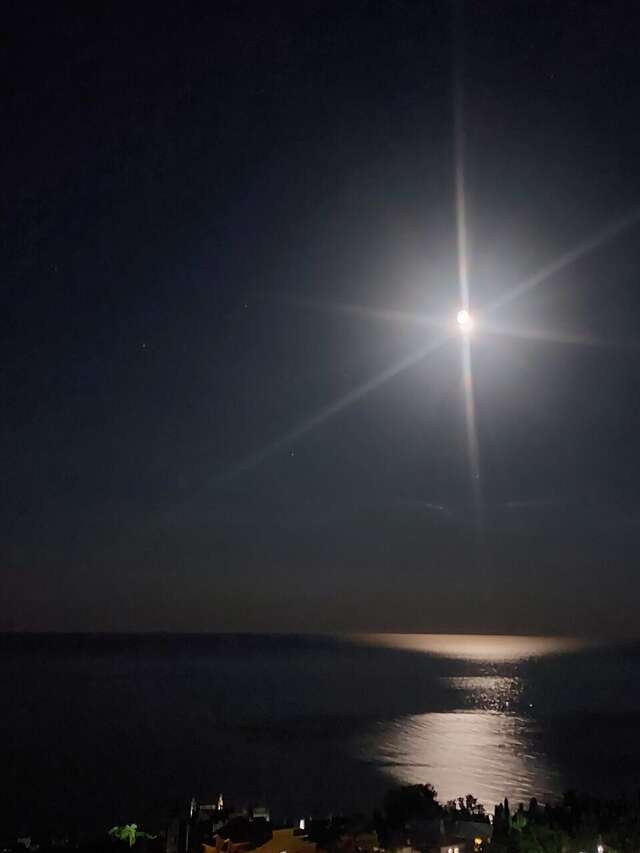 Гостиница Алубика Алупка-23